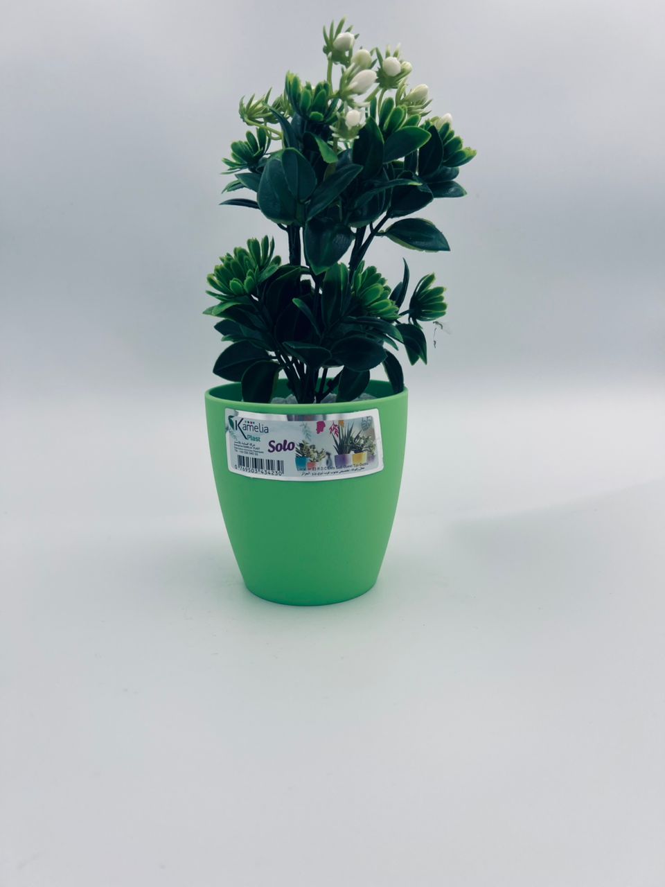 Pot de fleurs Kamelia Plast avec plante